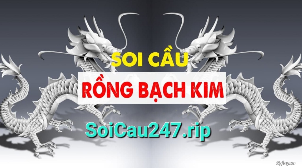 soi cầu 1200